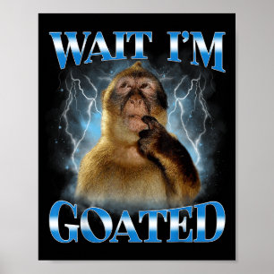 Poster Attends je suis Divin Singe Pensif Mème Drôle Brai