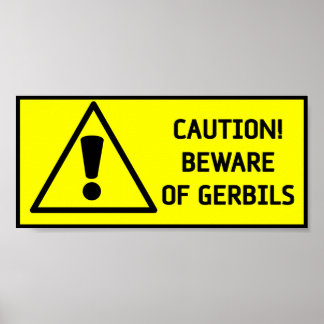 Poster Attention Gerbils