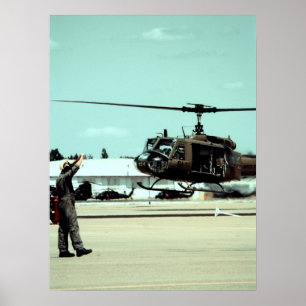 Poster Atterrir l'oiseau