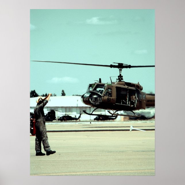 Poster Atterrir l'oiseau (Devant)