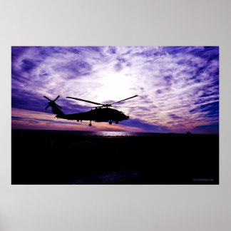 Poster Atterrissage de la Buse de mer au coucher du solei