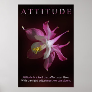 Poster Attitude