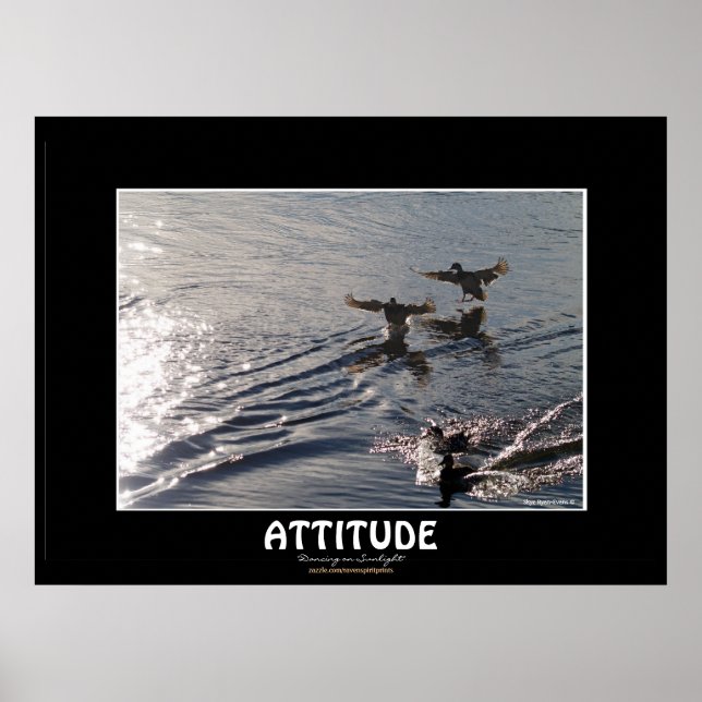 Poster ATTITUDE DE Canard sauvage Motivation Nature Photo (Devant)