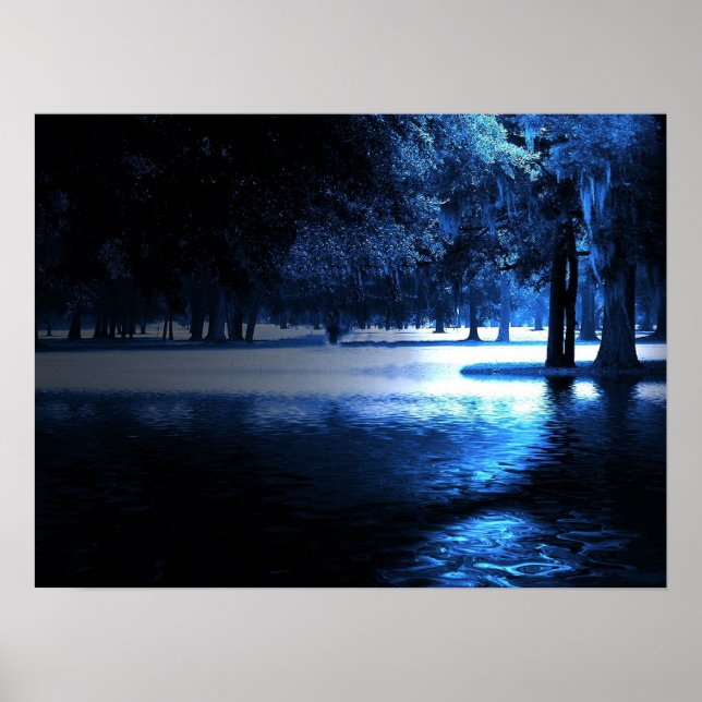 Poster au clair de lune (Devant)