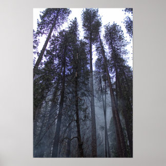 Poster Au pied de Half Dome - Yosemite