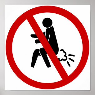 Poster AUCUN ⚠ Drôle Toilette Thaïlandaise ⚠