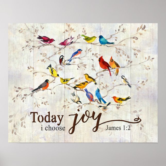 Poster Aujourd'hui, je choisis Joy Birds (Devant)