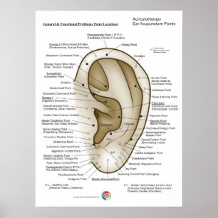Poster Auriculothérapie Acupuncture de l'oreille