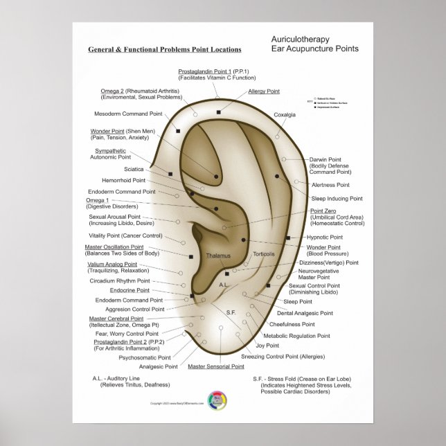 Poster Auriculotherapy Ear Acupuncture (Devant)