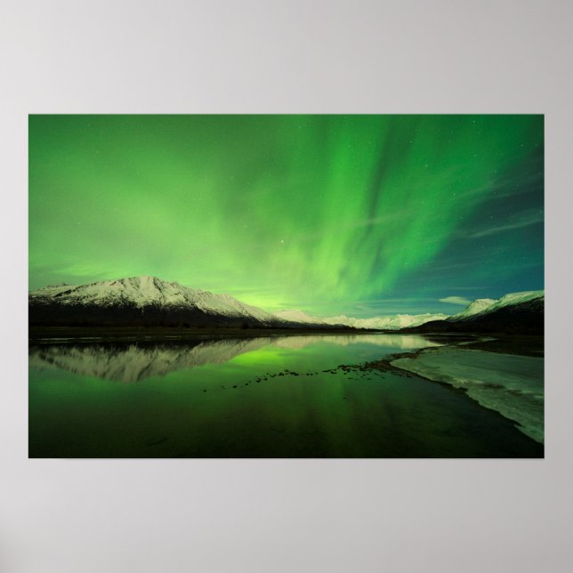 Poster Aurora (Devant)