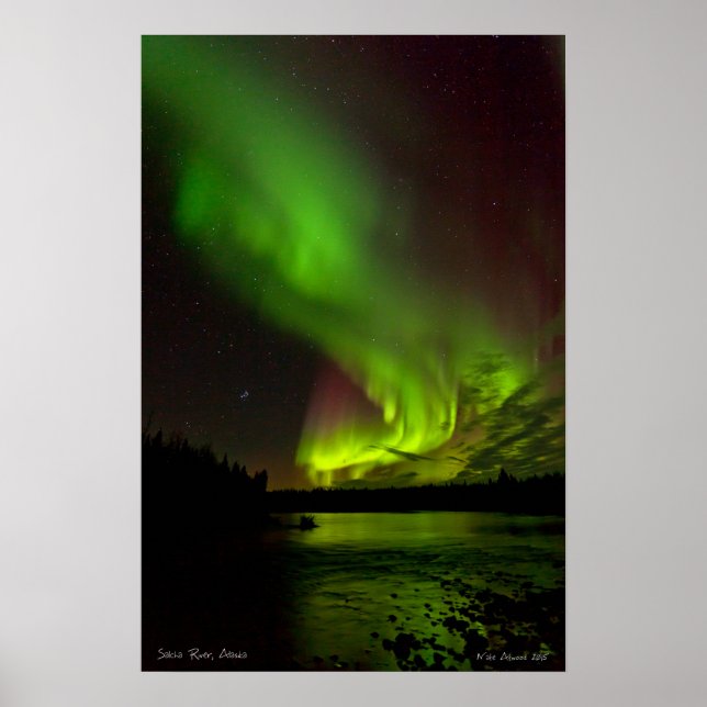 Poster Aurora au-dessus de la rivière Salcha (Devant)