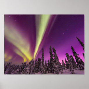 Poster Aurore Boréale Lumières du Nord Fairbanks Alaska