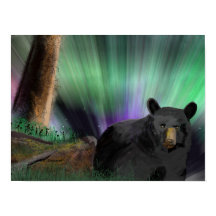 aurore de l'ours