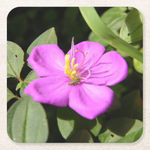 Poster aus Pseudo-Leinwand mit pinker hawaiianisch Rechteckiger Pappuntersetzer