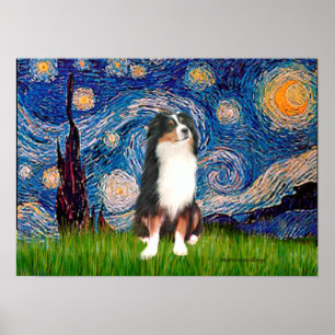 Poster Aussie Shep (Tri2) - Nuit étoilée