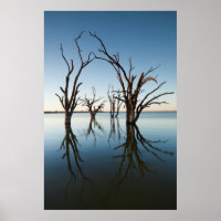 Australia, Murray River Valley, Barmera, lac