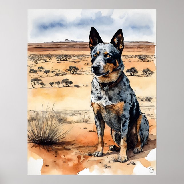 Poster Australian Cattle Dog - Chien Art Imprimer (Devant)