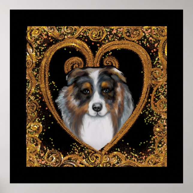 Poster Australian Shepherd   (Devant)