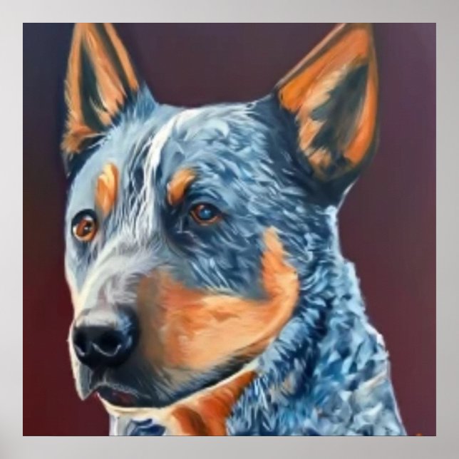 Poster Australian Stumpy Tail Cattle Dog - Portrait de ch (Devant)