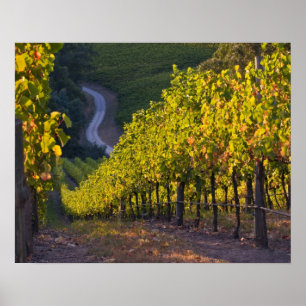 Poster Australie du Sud, Adélaïde Hills, Summertown. 2