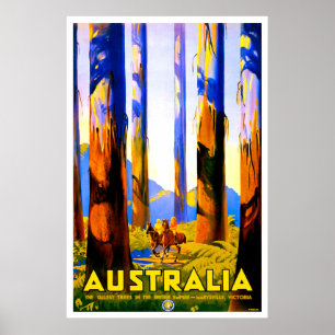 Poster Australie, grands arbres de Marysville, Victoria