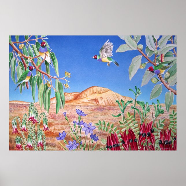 Poster Australie Outback (Devant)