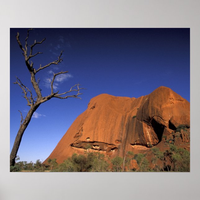 Poster Australie, Parc national Uluru Kata Tjuta, Uluru (Devant)