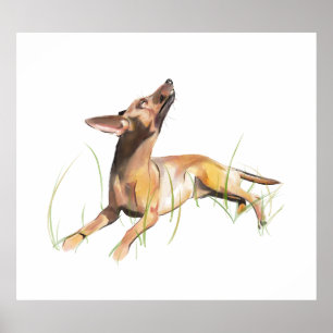 Poster Autocollant Miniature Pinscher