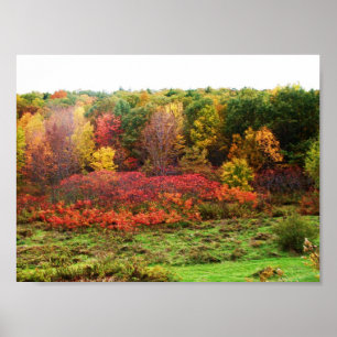 POSTER AUTOMNE