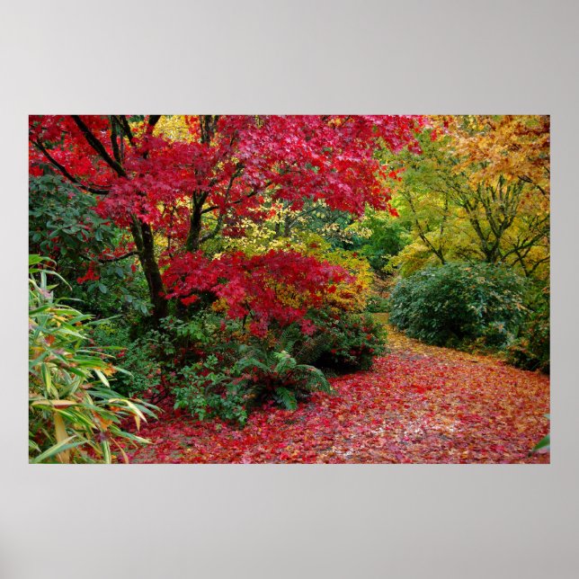 Poster Automne (Devant)