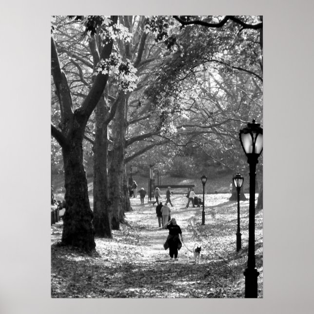 Poster Automne à Central Park 06 25 (Devant)