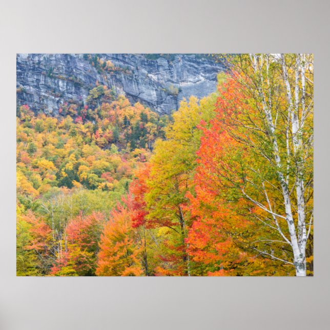 Poster Automne à Grafton Notch State Park, Maine (Devant)