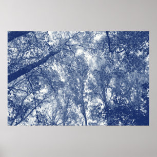 Poster Automne Bleu - Effet Cyanotype