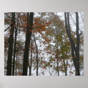 Poster Automne brumeux dans la nature d'automne de Pennsy