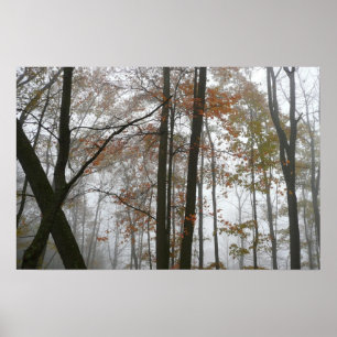 Poster Automne brumeux dans la nature d'automne de Pennsy