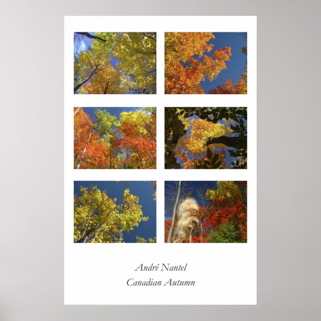Poster Automne canadien (Devant)