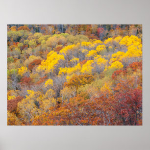 Poster Automne dans le Michigan