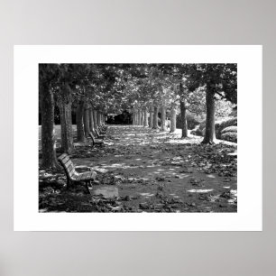 Poster Automne dans le parc : Tokyo