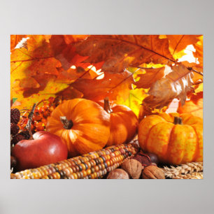 Poster Automne de la récolte d'action de grâces - Citroui