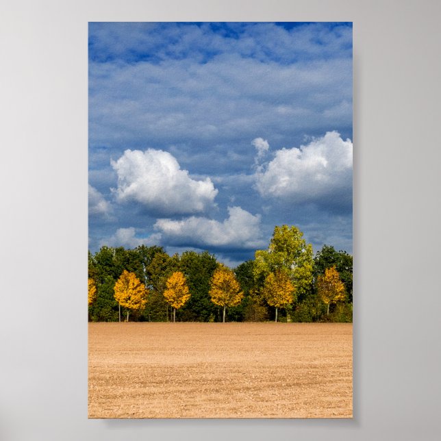 Poster Automne d'or (Devant)