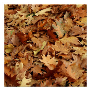 Poster automne, feuille sec