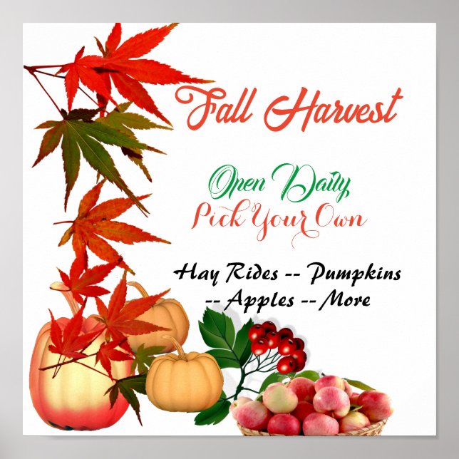 Poster Automne Harvest Choisissez votre propre Citrouille (Devant)