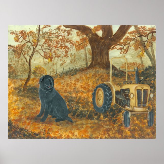 Poster Automne Labrador (Devant)
