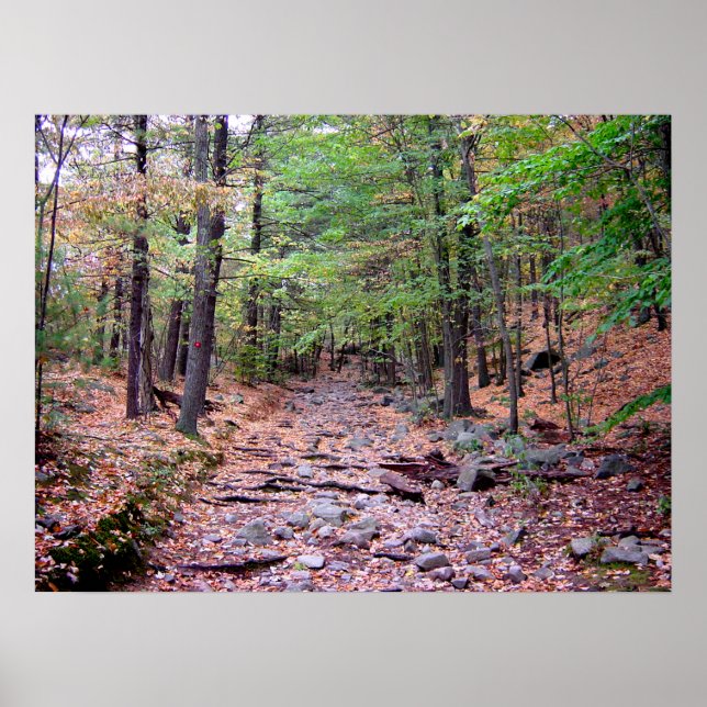 Poster Automne sur Blue Hills Réservation Red Dot Trail (Devant)
