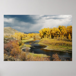 Poster Automne sur la rivière Gunnison, Colorado