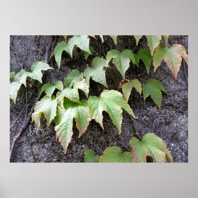 Poster Automne sur un mur (Devant)
