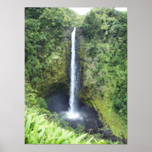 Poster Automnes d'Akaka