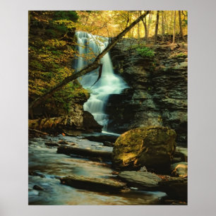 Poster Automnes de Fulmer