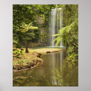 Poster Automnes de Millaa Millaa, plateau d'Atherton