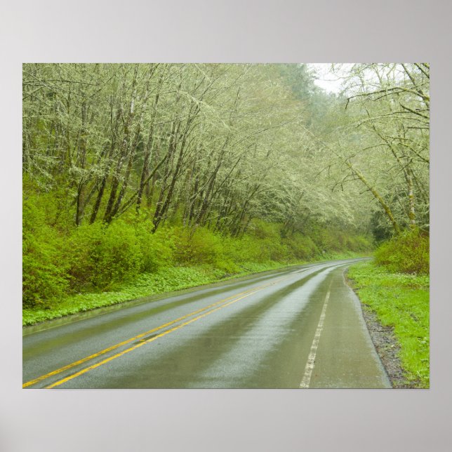 Poster Autoroute éloignée à travers la forêt (Devant)